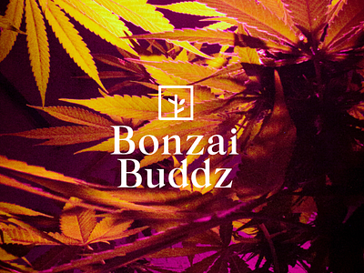 Bonzai Buddz Logo