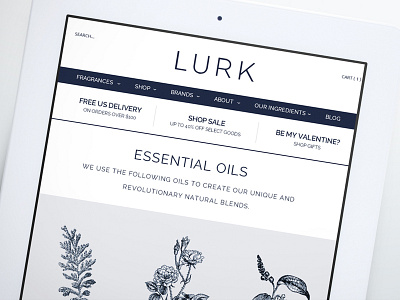 Lurk Responsive Web Design branding responsive design web design