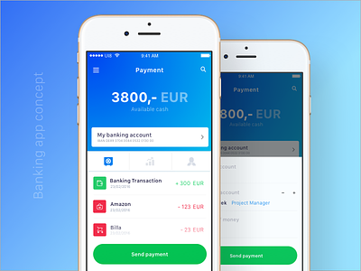 Banking app concept banking banking app billing cash ios money payment payment process ui