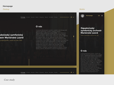 Symphony website - Case study case case study guidelines web design webdesign website