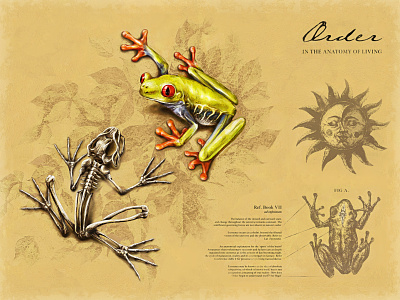 Anatomy of Living – Artwork 1 anatomy animal art animals art design design art digital painting drawing frog gothic graphic design graphicdesign illustration illustration art nature skeleton art texture