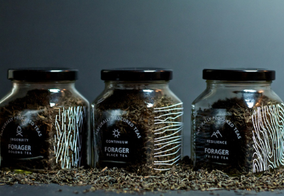 Forager Naturally Procured Teas branding design minimal organic tea packaging