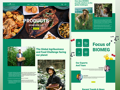 Biomeg Web Design agricultural agriculture biomeg design farm food nutrition ui uiux design web web design website