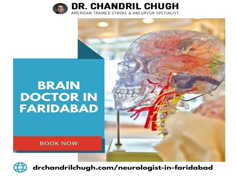 Brain Doctor In Faridabad by chug harry on Dribbble