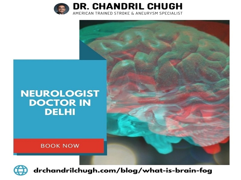 Neurologist Doctor In Delhi By Chug Harry On Dribbble   Neurologist Doctor In Delhi 