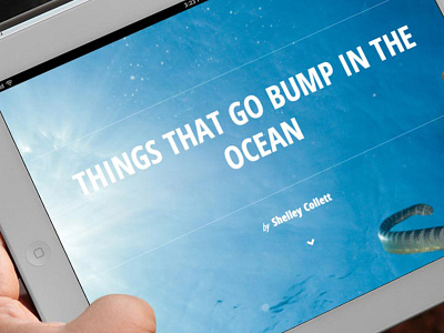 Scuba Diver Life Magazine app ios typeengine