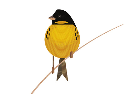 Yellow-breasted Buting bird china chinese extinction texture vector wildlife