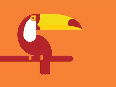 Toucan