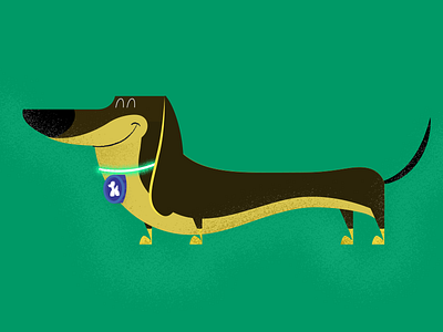 Wiener cachorro dog midcentury salsicha tekkel vector wiener