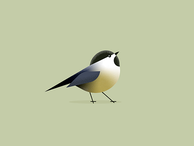 chickadee bird bird illustration flat illustraion midcentury modern nature vector wildlife