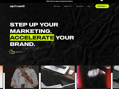 Up The Anti | Squarespace Web Design