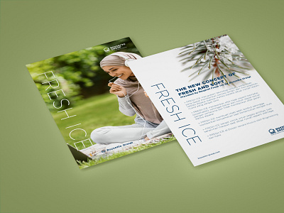 FRESH ICE | Bozzetto Indonesia branding brochure corporate identity design flyer graphic design illustration