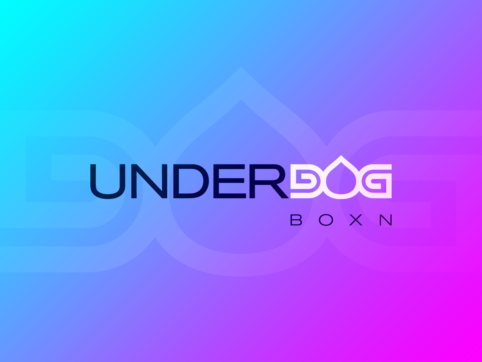 Underdog Boxn Brand Identity