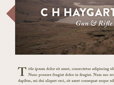 Haygarth Website classic gun maker retro rifle scotland scottish vintage website