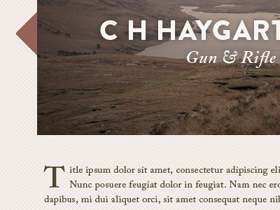 Haygarth Website