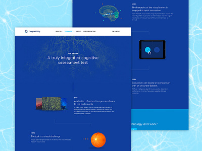 Cognetivity website data dementia diagram interactive landing page web design website