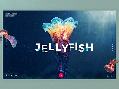 Jellyfish design fish inspiration jelly jellyfish landing ocean photography web