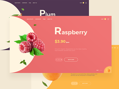 Food UI color colour food landing prdouct shop ui ux