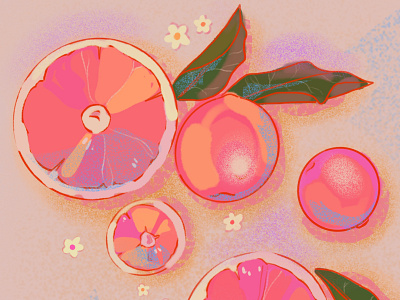 Illustration Studies #grapefruit art design digital illustration fruit illustration procreate study