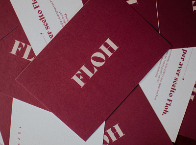 Floh Brand identity - Bussiness cards bussiness card