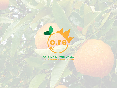 O.re orange cultivation - logo brand brand branding clean corporate identity logo logotype wordmark