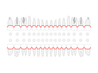 Smart Dental – teeth schema schema teeth ui