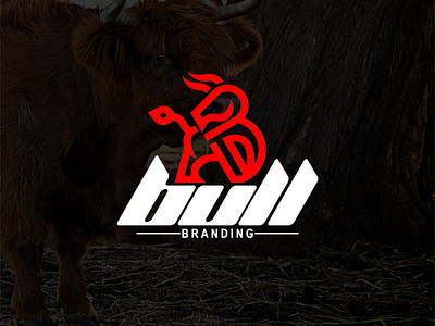 bull logo