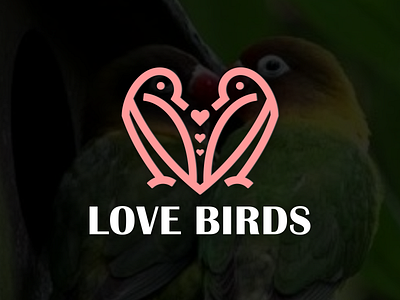 love birds logo concept bird branding design graphic design illustration logo love motion graphics typography ui ux vector
