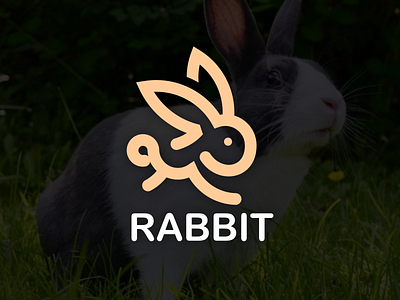 rabbit logo branding design graphic design illustration logo motion graphics typography ui ux vector