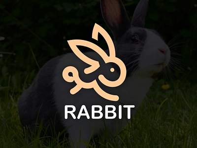 rabbit logo