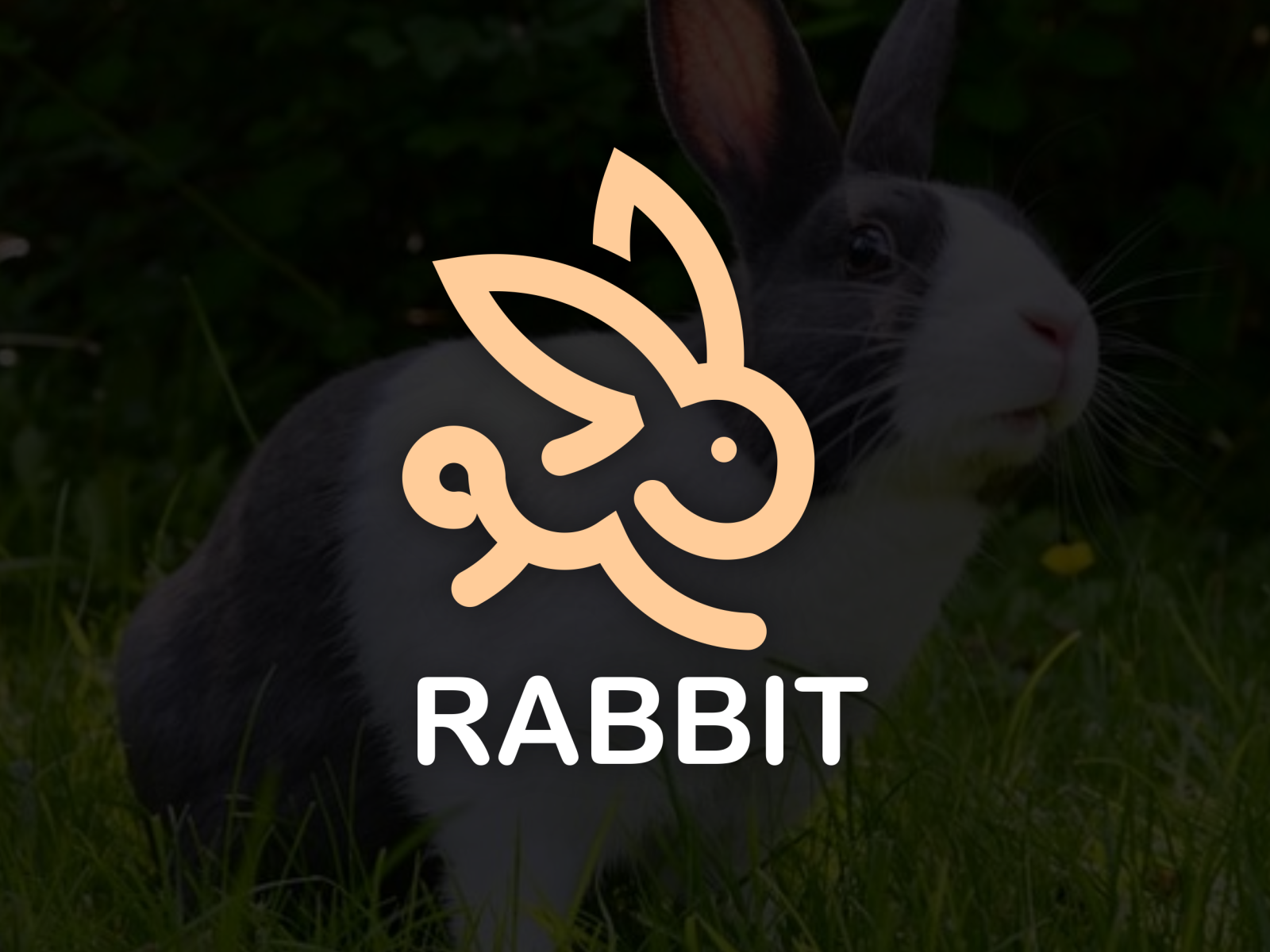 rabbit logo by brandal_design on Dribbble