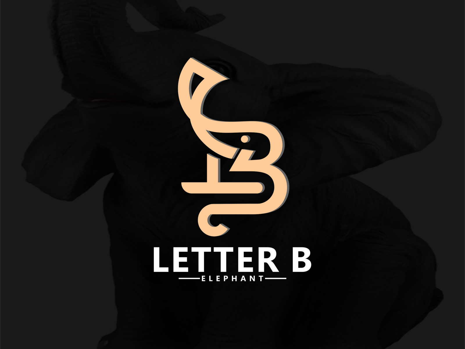 Letter B And Elephant By Brandal_design On Dribbble