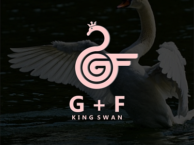 swan logo concepts