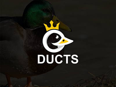 Ducts logo concept branding design duck graphic design illustration logo motion graphics typography ui ux vector