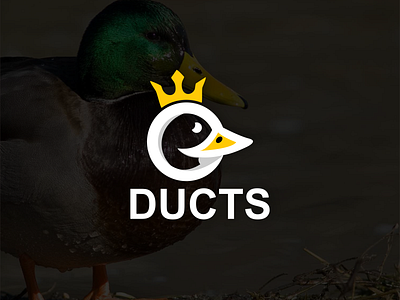 Ducts logo concept