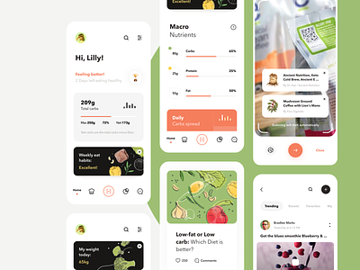 Nutrition and Diet App UI Map