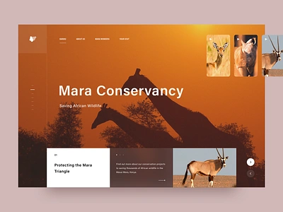 Saving African Wildlife 2018 africa awsmd creative design discovery landing landing page nature typography ui ux