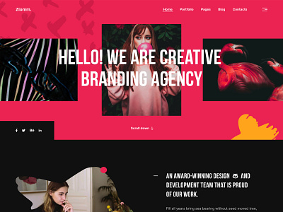 Ziomm - Creative & Modern Portfolio WordPress Theme agency colorful corporate creative design illustration modern personal photography portfolio