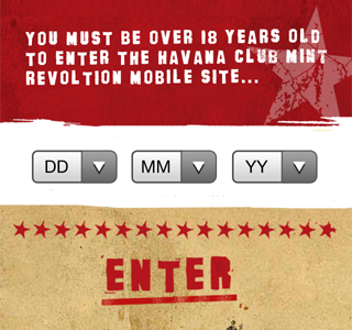 Enter age mobile web screen