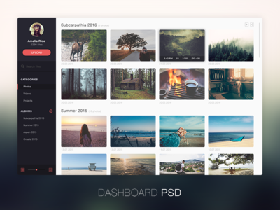 Photo management application design FREE PSD