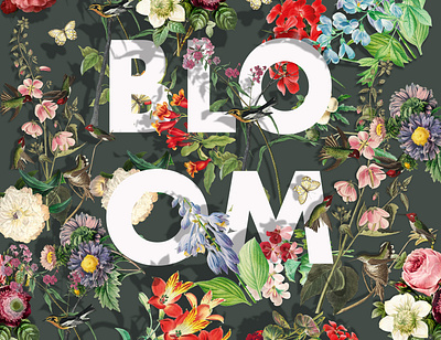 BLOOM background design flyer logo web design