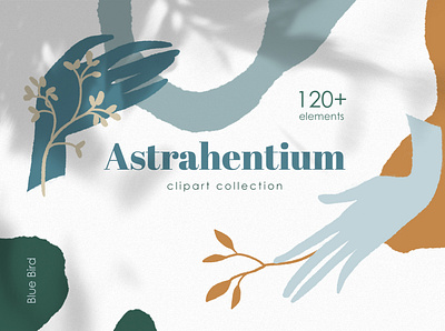 Astrahentium abstract abstract shapes clipart collage graphics contemporary art design geometric shape graphic design hand drawn floral hands illustration illustration minimalist nature colors organic shapes typography