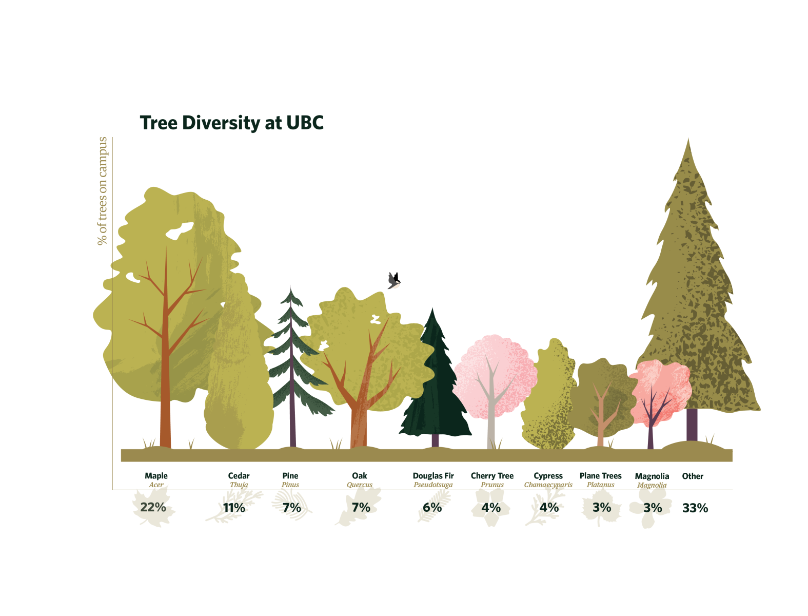 Forestry Infographic By Helen Eady On Dribbble