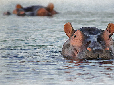 Oh Hello There! adobe photoshop animal digital art hippo hippopotamus illustration photo manipulation water