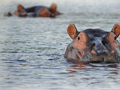 Oh Hello There! adobe photoshop animal digital art hippo hippopotamus illustration photo manipulation water