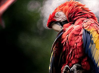 Squawk! adobe photoshop bird digital art digital painting macaw nature painting photo manipulation tropical