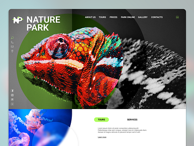 The prototype of the home page for the nature park design figma graphic design ui ux