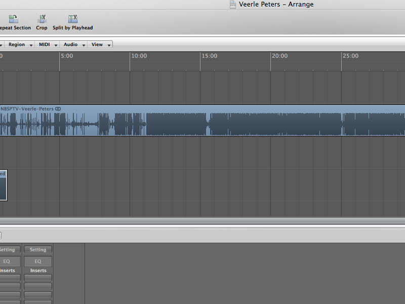 Interview with @veerlepieters for NBSPtv podcast logic audio wav interview