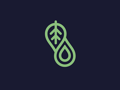 Leaf + Droplet Icon