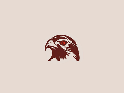 Hawk Logo branding design icon identity illustration logo logo design vector